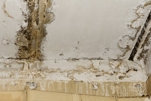 Best Basement water damage restoration  in Exton, PA